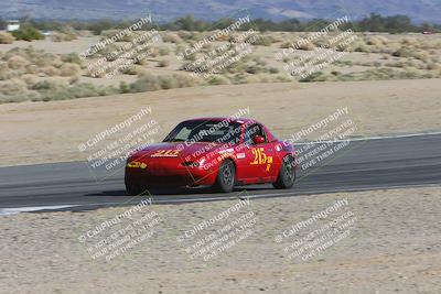 media/Feb-18-2024-Nasa AZ (Sun) [[891db5b212]]/7-Race Group A/Session 1 Turn 12 Exit-Bowl Entry/